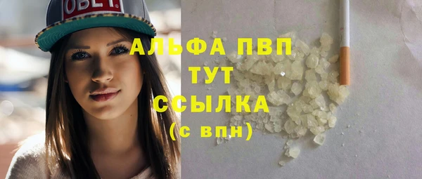 ECSTASY Вяземский