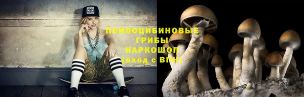 ECSTASY Вяземский