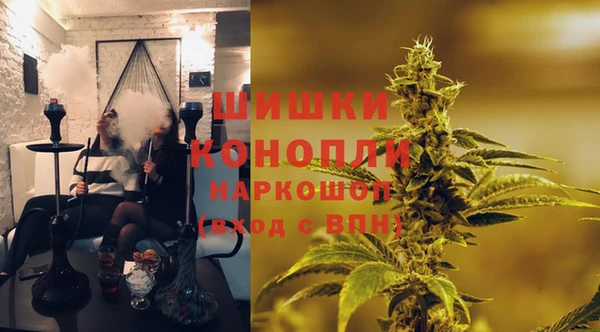 ECSTASY Вяземский