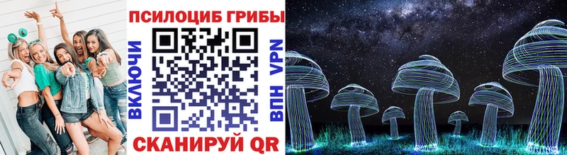 купить наркотик  кракен ТОР  Псилоцибиновые грибы Cubensis  Щёлково 